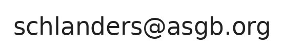 Email ufficio