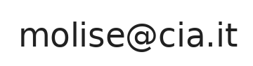 Email ufficio
