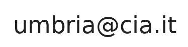 Email ufficio