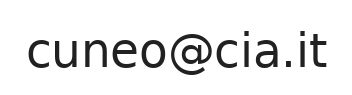 Email ufficio