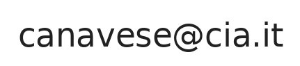 Email ufficio