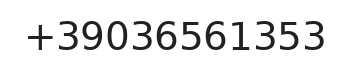 Telefono responsabile