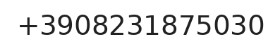 Telefono responsabile