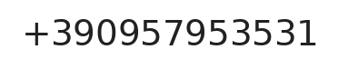 Telefono responsabile