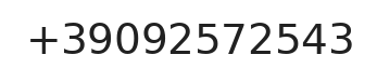 Telefono responsabile