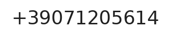 Telefono responsabile