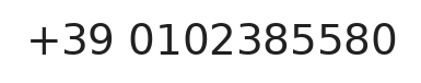 Telefono responsabile