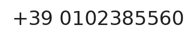 Telefono responsabile