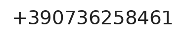 Telefono responsabile