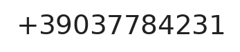 Telefono responsabile