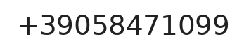 Telefono responsabile
