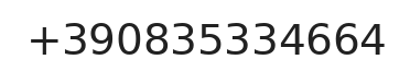 Telefono responsabile