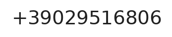 Telefono responsabile