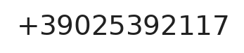 Telefono responsabile