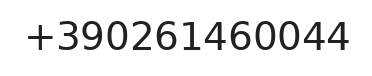 Telefono responsabile