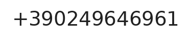Telefono responsabile
