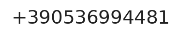 Telefono responsabile