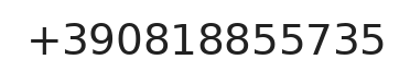 Telefono responsabile