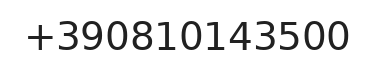 Telefono responsabile