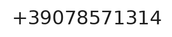 Telefono responsabile