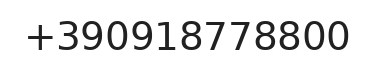 Telefono responsabile