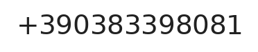 Telefono responsabile
