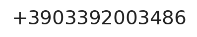 Telefono responsabile