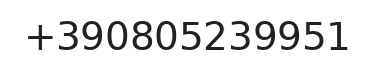 Telefono responsabile