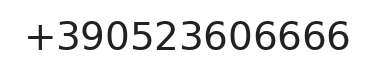 Telefono responsabile