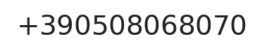 Telefono responsabile