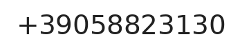Telefono responsabile