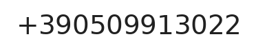 Telefono responsabile