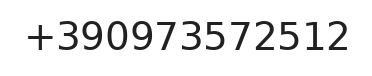 Telefono responsabile