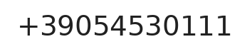 Telefono responsabile