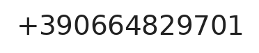 Telefono responsabile