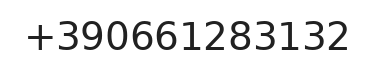 Telefono responsabile