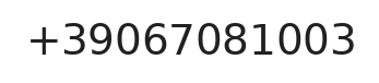 Telefono responsabile