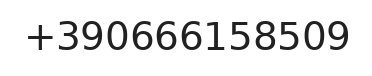 Telefono responsabile