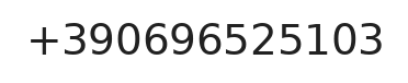 Telefono responsabile