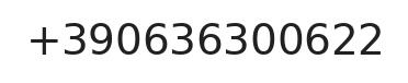 Telefono responsabile