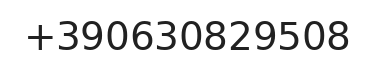 Telefono responsabile