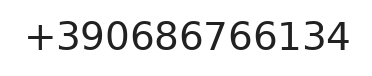 Telefono responsabile