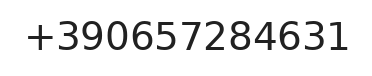 Telefono responsabile