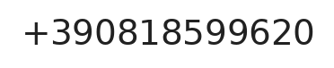 Telefono responsabile