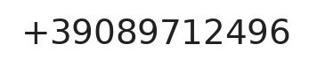 Telefono responsabile