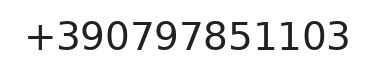 Telefono responsabile