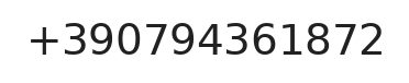 Telefono responsabile