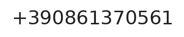 Telefono responsabile