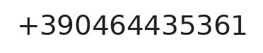 Telefono responsabile