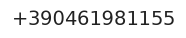 Telefono responsabile